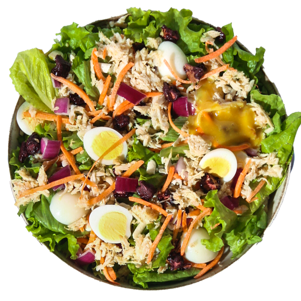 SALADA HOJE EU COMEÇO Boali maior franquia de alimentação saudável do Brasil e Hemisfério Sul