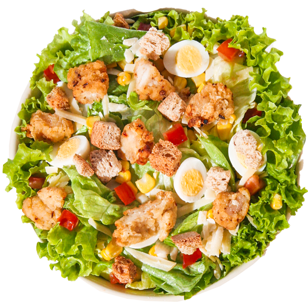 SALADA CRISPY CHICKEN Boali maior franquia de alimentação saudável do Brasil e Hemisfério Sul destaque